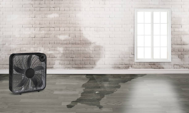 Best Water damage restoration mold remediation  in Saratoga Springs, NY