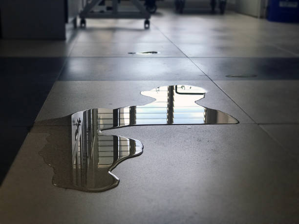 Best Professional water damage repair  in Saratoga Springs, NY