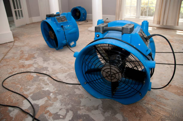 Best Water damage repair service  in Saratoga Springs, NY