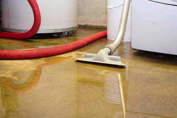 Best Mold removal after water damage  in Saratoga Springs, NY