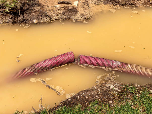 Best Flood damage cleanup  in Saratoga Springs, NY
