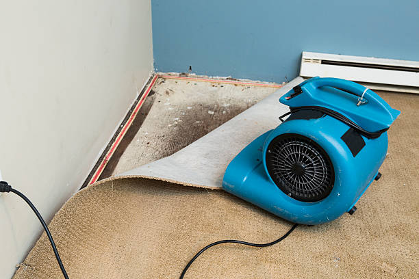 Water damage restoration insurance claims in NY
